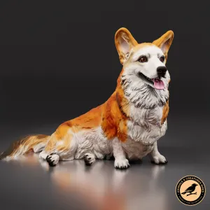 Corgi
