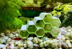 Garnelen- und Jungfischversteck "Honeycomb"
