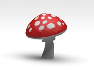 double color mushroom - Fungo doppio colore