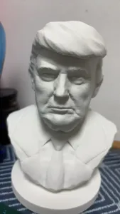 Trump Bust