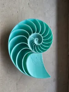 Nautilus shell mod
