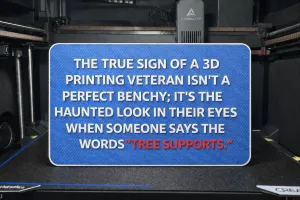 Tree supports sign