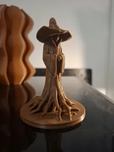 Witch of the woods