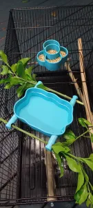 Bird feeder and water bowl