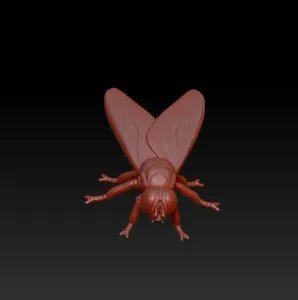 fly