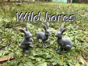Wild hares