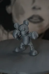 mickey boxing