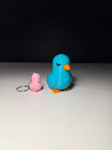 Cute Pigeon