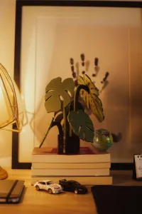 Monstera (magnetic)couster