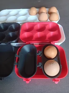 Cartons of 2, 4, 6, and 12 eggs