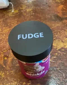 Cat food lid with name