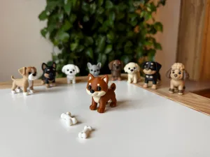 Shiba inu puppy
