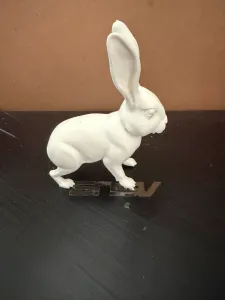 Jack Rabbit 01