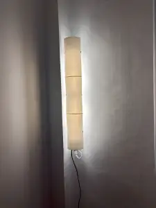 Ambient lamp based on single ended input LED fluorescent tub