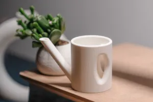 Little Watering Can Planter Set