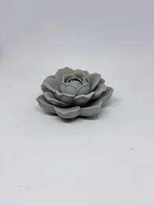 莲花
