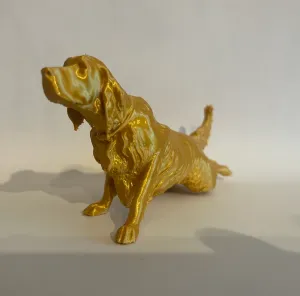 English Setter Hunting Dog Lay Position Pointing