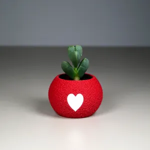 Tiny Valentine Pot