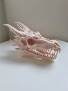 Dragon Skull