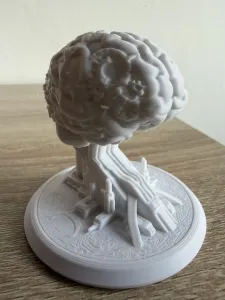 Biomechanical core - brain
