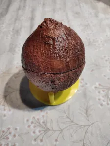 Coco / Coconut