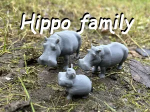 Hippo family
