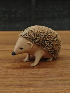 绒毛小刺猬