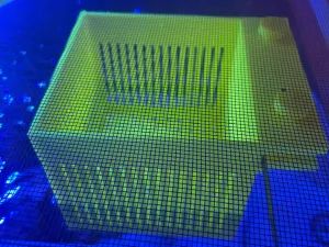 Hanging Aquarium Anemone & Acclimation Box