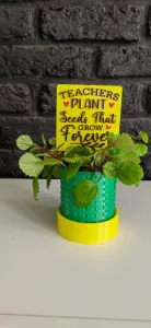 Teachers Plant Seeds –A Tribute to Those Who Inspire