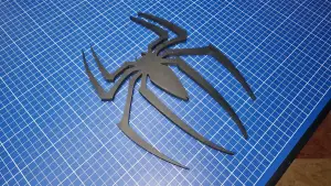 Spider sign 🕷️