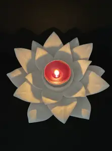 Candlestick lotus