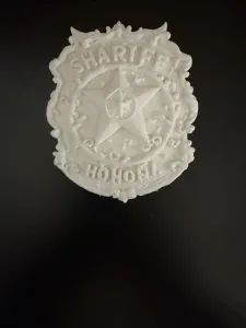 Badge 07 Honorary Shariff