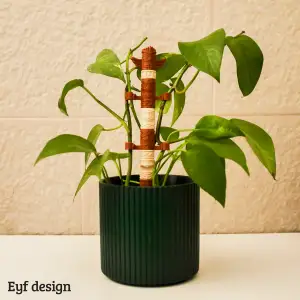 Tiki Totom Plant System