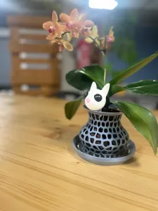 Easter Orchid Planter – Cute Bunny Design