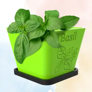 Herb Pot Planters set of 10