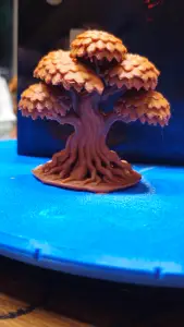 Oak Tree acc