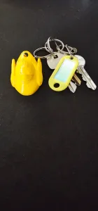 key ring duck