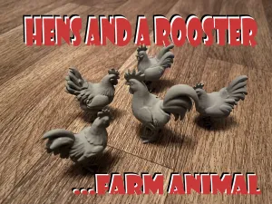 Hens and a rooster