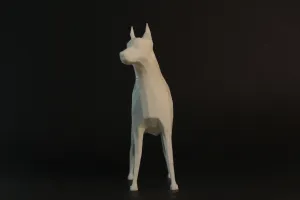 Low Poly Dog