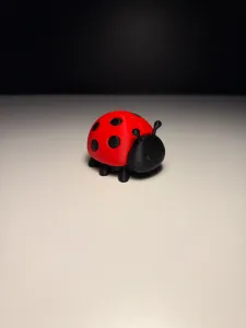 Cute Ladybug