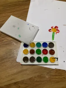 15 well paint palette