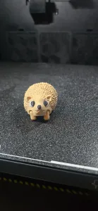Cute Hedgehog