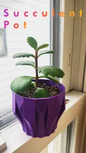 Succulent Pot