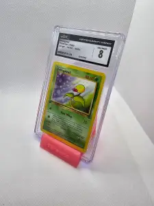 Card Display Stand