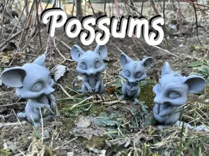 Cute Opossum, Mouse, Rat