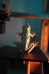 Realistic Dragon Frog Sculpture