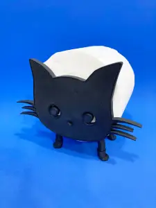 Bath cat / Gatito cagón