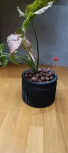 plant pot for leni 9/11 hydroponic insert