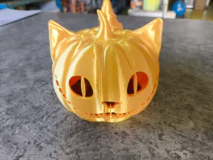 Cheshire Pumpkin