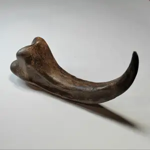 Raptor Claw